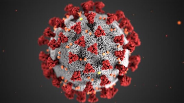 corona virus covid-19